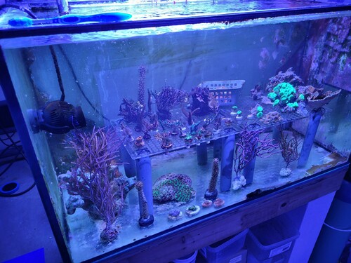 Fragtanken efter rengøringen. Inden var der encrustende montier der var vokser flere cm op ad forruden. Den kan være svære at få af, men får man først løsnet en smule, nemmest på bunden med en skraber, så kan man pille det meste op i et hug. De encruster ikke så fast på glas.