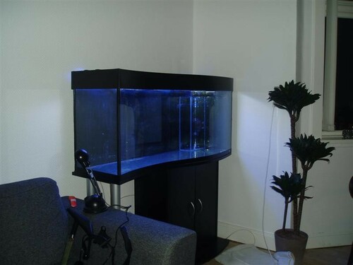 P1010127 (Medium).JPG