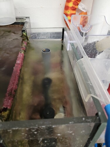 Det var det her billede jeg sendte Thomas. Som man ser står vandet helt oppe ved sikkerhedsrøret.