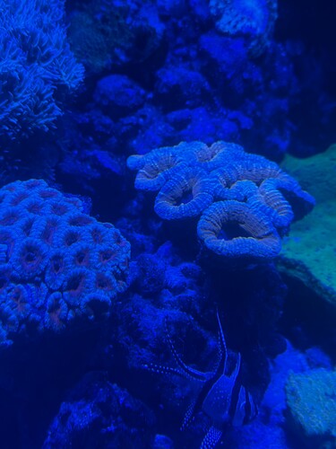 IMG_6282.jpeg