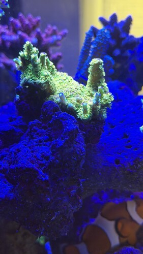 IMG_1895.jpeg