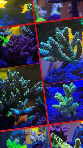 IMG_1910.jpeg