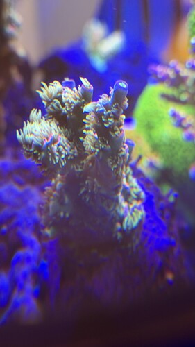 IMG_1912.jpeg