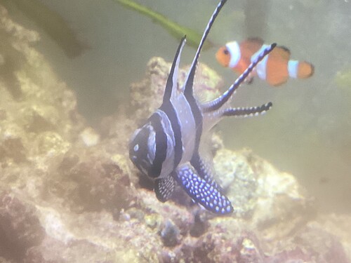 IMG_4095.jpeg