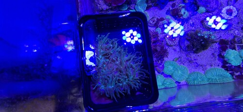 20260514_175215.jpg