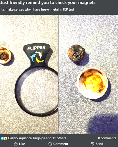 Flipper Issue.png