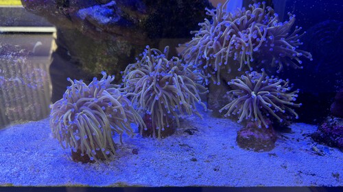 IMG_1939.jpeg