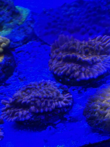 IMG_5595.JPG