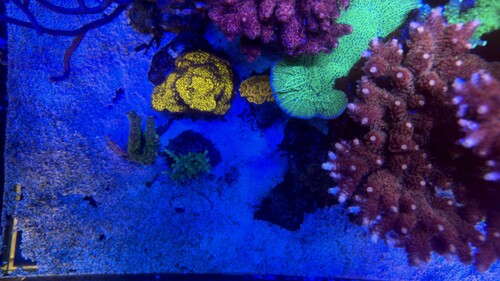 IMG_1960.jpeg