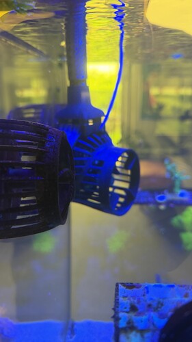 IMG_2062.jpeg