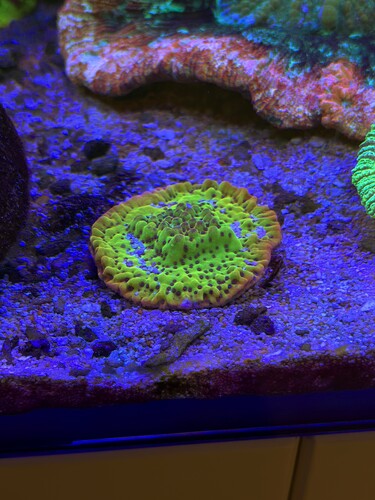 AquaCam_EA18C214.jpeg