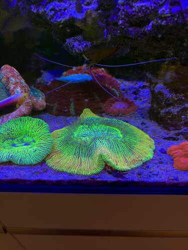 AquaCam_D1C38E94.jpeg