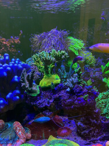 AquaCam_7150861F.jpeg
