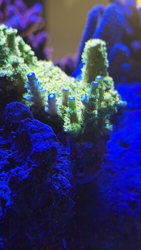 IMG_2084.jpeg