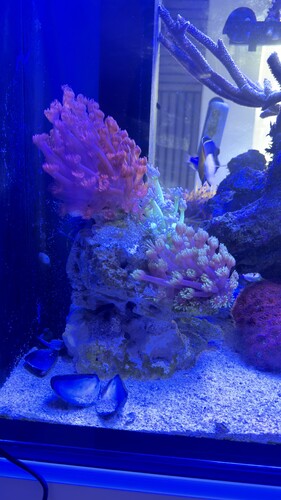 IMG_2141.jpeg