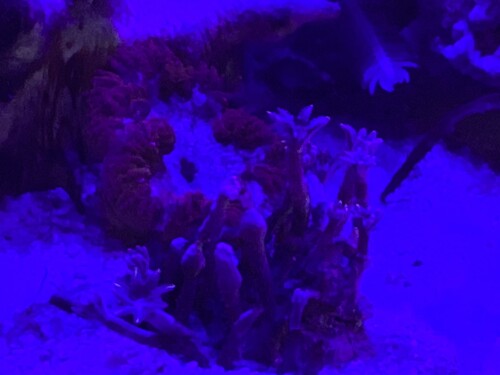 IMG_5492.jpeg