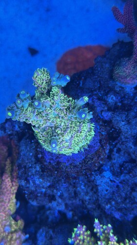 IMG_2173.jpeg