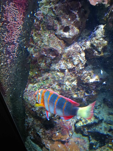 IMG_20260702_112802089.jpeg