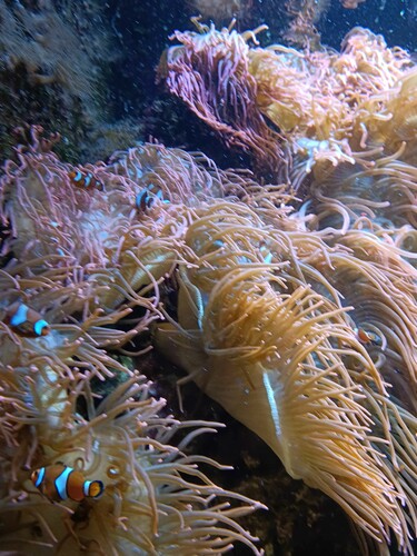 IMG_20260702_112557864.jpeg