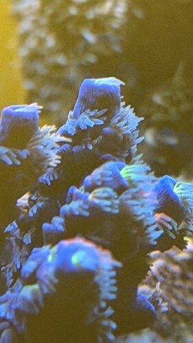 IMG_2236.jpeg