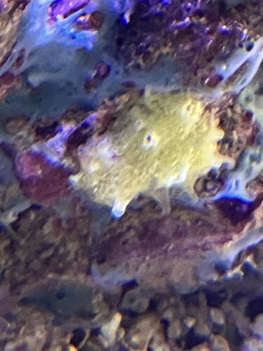 IMG_3940.jpeg