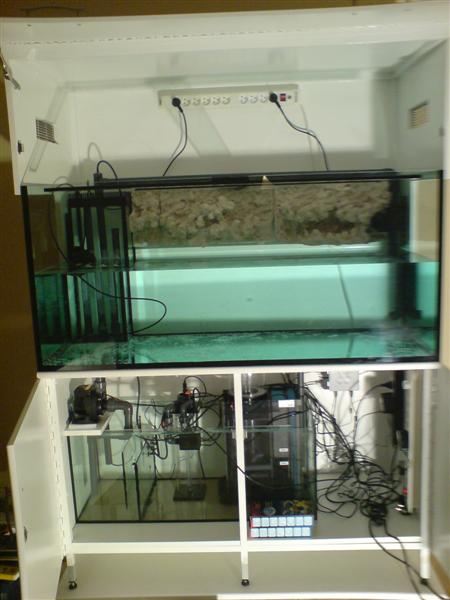 DSC00060 (Medium).JPG