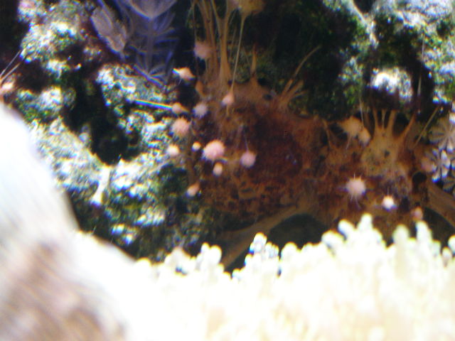 P8251003.JPG