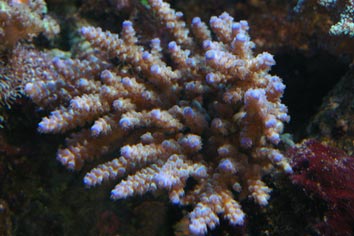 SG1L9540.jpg