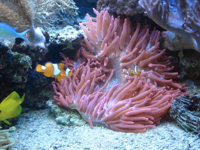 DSC01488.JPG