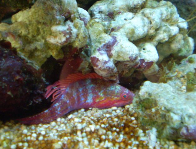 001 [DVD (NTSC)].JPG