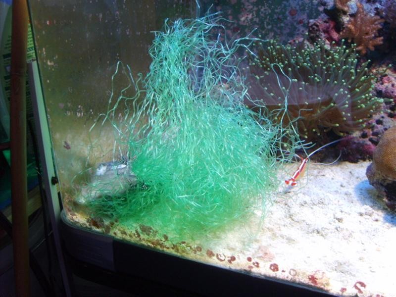 S5000835 (Medium).JPG