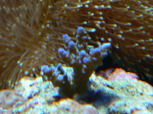 n539379100_739173_8178.jpg