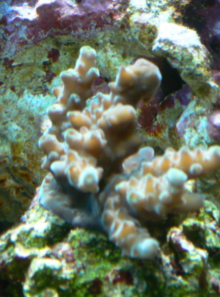 n539379100_739174_8403.jpg