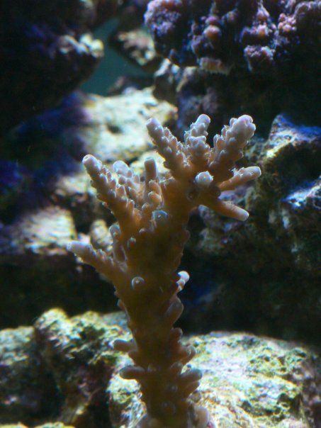 n539379100_739177_3398.jpg