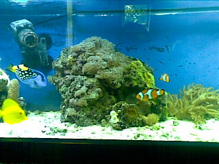 21092008(004).jpg