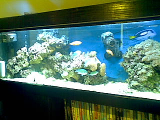 21092008(005).jpg