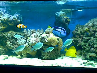 21092008(009).jpg