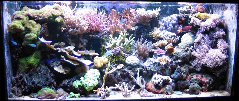 26-9-08.jpg
