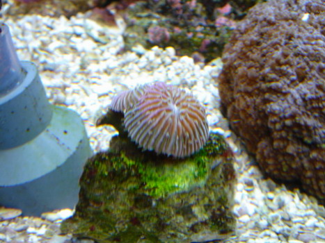 DSC01091_resize.JPG