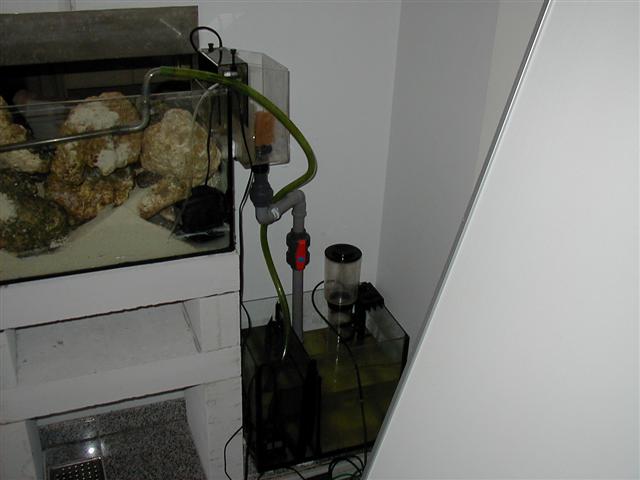 P1010017 (Small).JPG