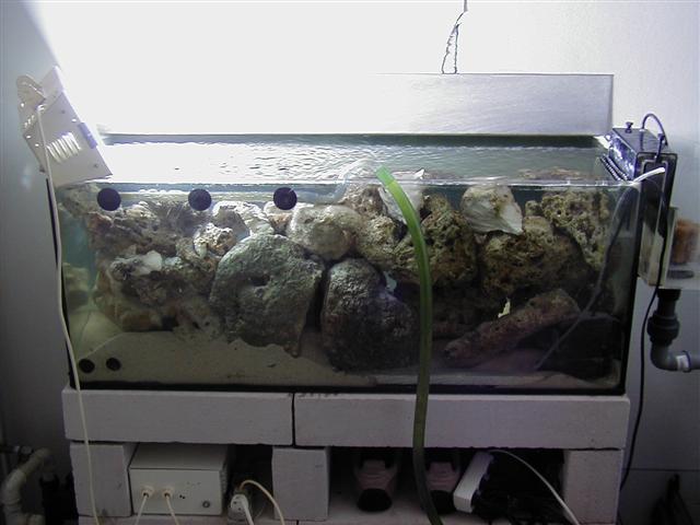P1010023 (Small).JPG