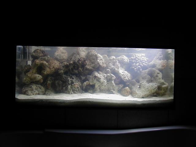 P1010021 (Small).JPG