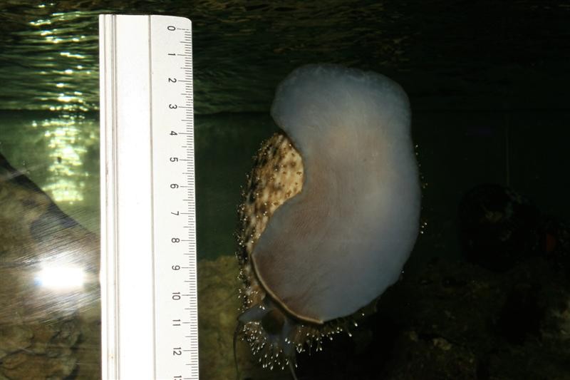 IMG_4277 (Medium).JPG