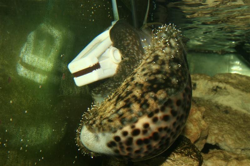 IMG_4269 (Medium).JPG