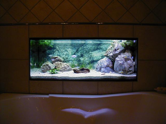 P1010148 (Small).JPG