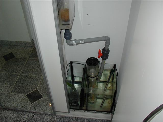 P1010032 (Small).JPG