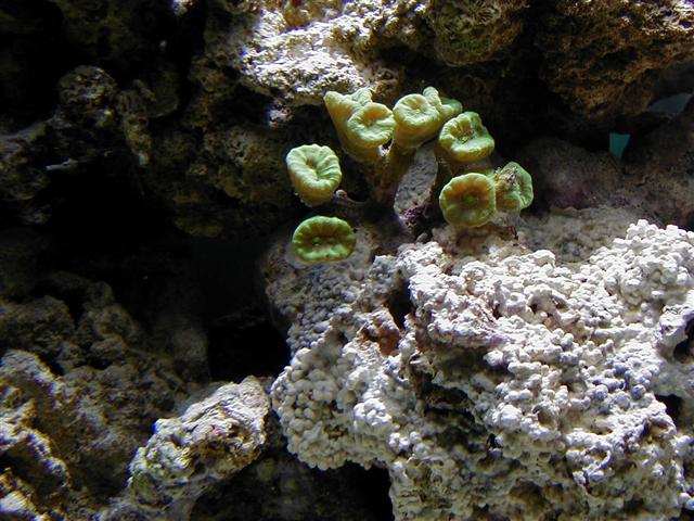 p1010033 (Small).JPG