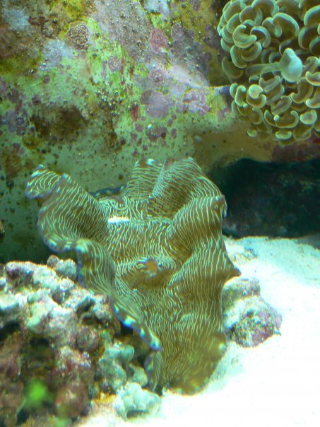 n539379100_845363_1087.jpg