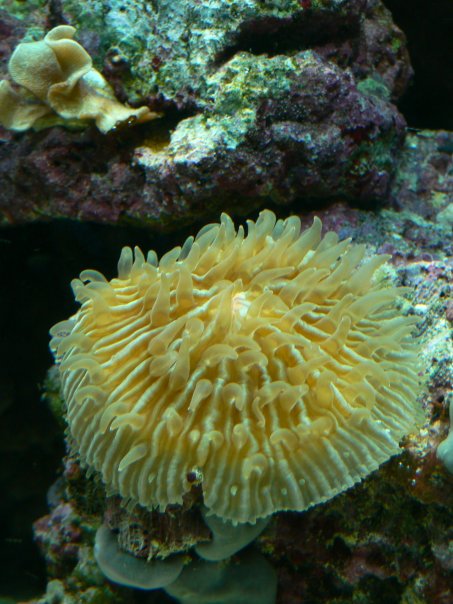 n539379100_845364_1856.jpg