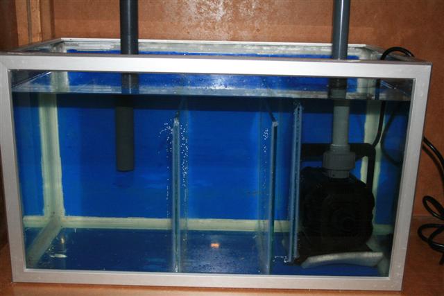 blandet 016 (Small).jpg